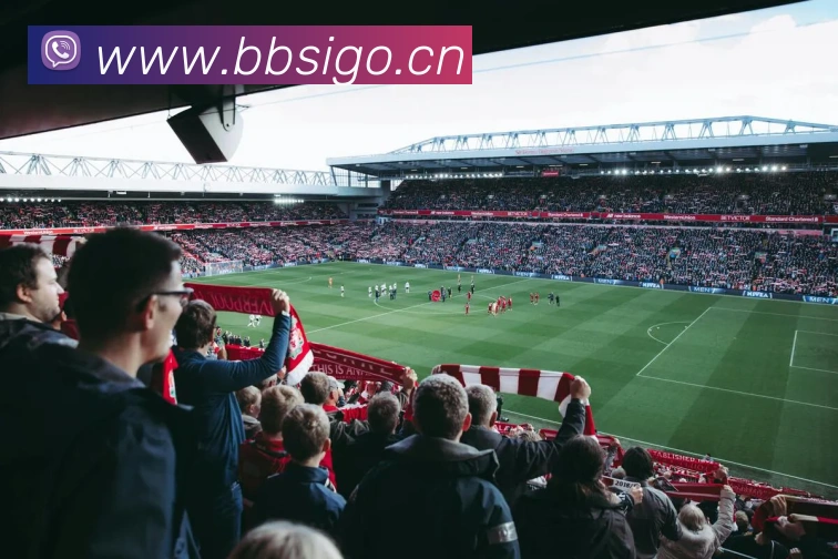 pg.cm国际服务体系